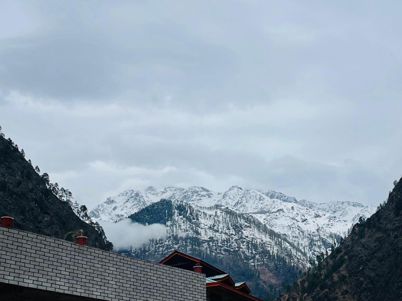 Trippy Homestay Kasol Exterior photo